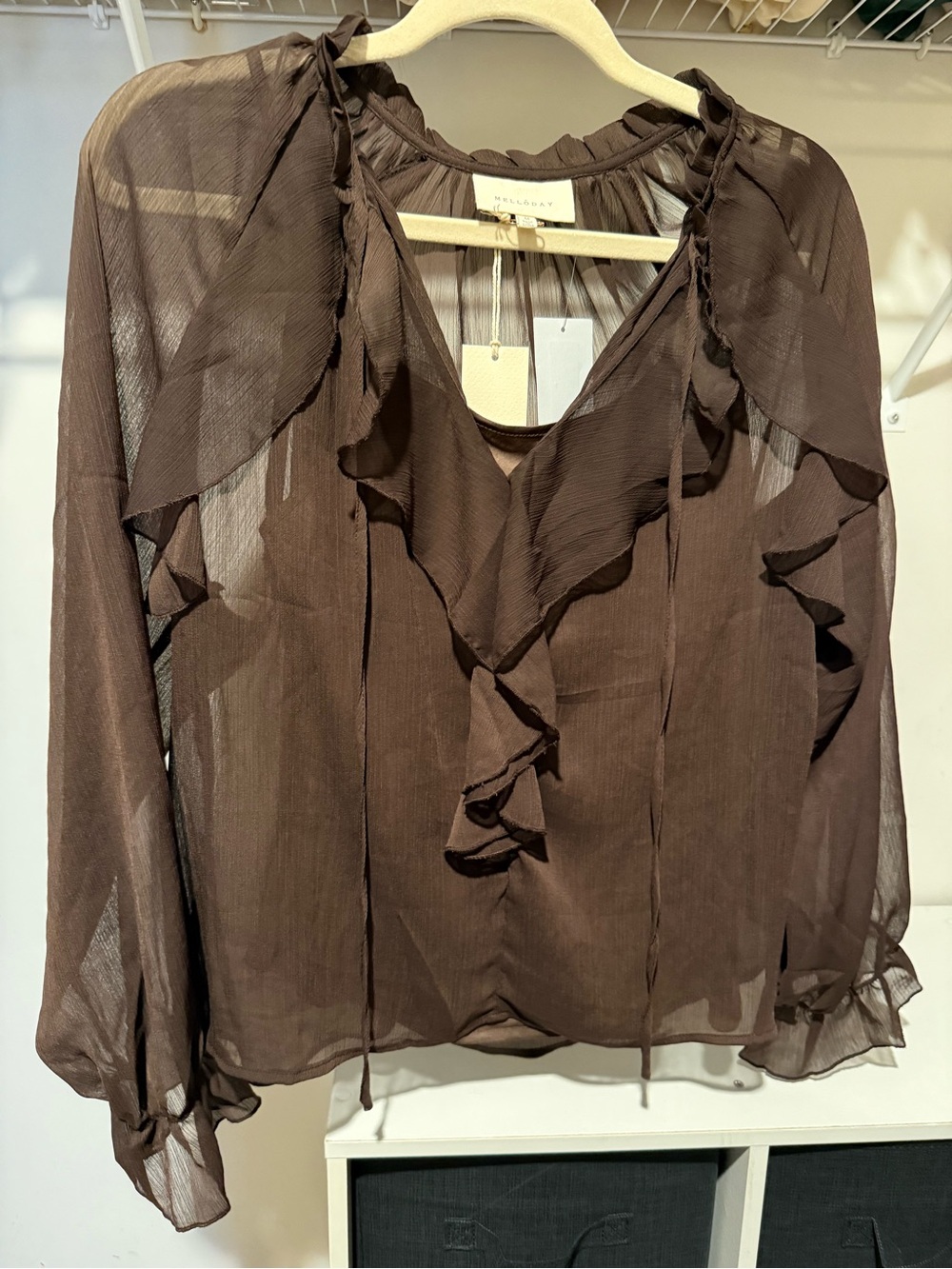 Sheer Ruffle V-Neck Long-Sleeve Blouse - Brown